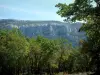 Massif de la Sainte-Baume - Arbres (forêt) et montagne