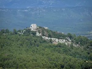 Massif de la Sainte-Baume - Forêt et ruines du château de Nans-les-Pins