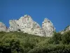 Massiv des Sainte-Baume - Bäume, Vegetation ( garrigue ) und Felswände (Steilküsten).