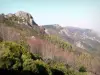 Massiv Tanargue - Regionaler Naturpark der Ardèche-Berge - Ardèche-Gebirge: Blick vom Pass Meyrand aus