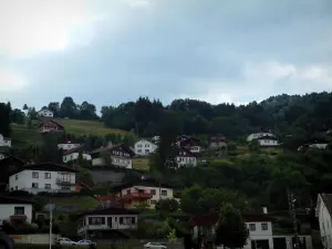 Massiv der Vogesen - Häuser, Chalets und Bäume eines Gebirgsdorfes (Regionaler Naturpark der Ballons des Vosges)