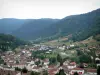 Massiv der Vogesen - Häuser eines Dorfes und Hügel bedeckt mit Wäldern (Regionaler Naturpark der Ballons des Vosges)