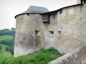 Mauléon-Licharre - Castello Mauleon