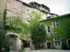 Mauriac castle - Inner courtyard of the castle and its facade covered with ivy