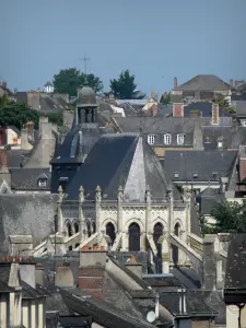 Mayenne - Basilique Notre-Dame et toits de la ville