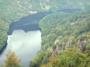 Méandre de Queuille - Vue sur la rivière Sioule bordée de rives boisées