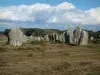 Megaliths - Alignments of megaliths of Carnac: aligned raised stones
