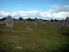 Megalitos - Las alineaciones de los megalitos de menhires en Carnac alineados
