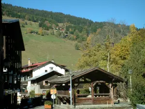 Megève - Construction en bois, maisons du village (station de sports d'hiver et d'été), arbres, alpages, chalets perchés et forêt