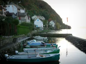 Meillerie - Port avec bateaux à moteur, maisons du village, forêt et lac Léman