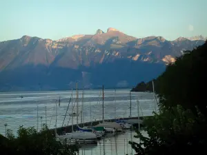 Meillerie - Bomen op de voorgrond met uitzicht op de haven en de boten (zeilboten), het Meer van Genève en de bergen van de Zwitserse bank