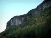 Meillerie - Cliffs e gli alberi in autunno