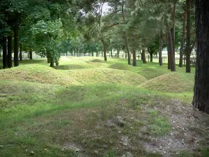 Memorial canadiense de Vimy - Campo de batalla