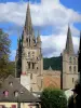 Mende - Spiers van de Notre-Dame-et-Saint-Privat: toren van de bisschop (links) en de klokkentoren van de kanunniken (rechts)