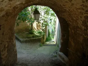 Ménerbes - Arched passage, fig tree and sloping narrow street in the village