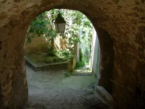 Ménerbes - Passage voûté, figuier et ruelle en pente du village