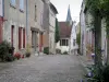 Mennetou-сюр-Cher - Мощеная улица, цветы и дома средневекового города