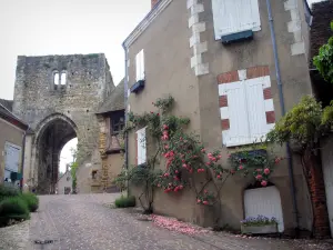 Mennetou-sur-Cher - Door, climbing roses and houses in the medieval town