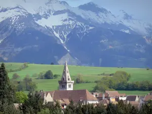 Mens - Vue sur le clocher de l'église Notre-Dame et les toits du village, les arbres, les prairies et les montagnes du Trièves aux cimes enneigées