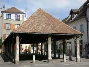 Mens - Halles et façades de maisons du village (capitale du Trièves)