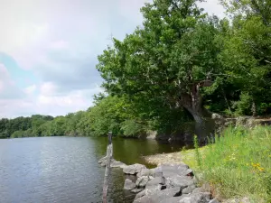 Meer van Mer Rouge  - Bank met bomen en vijver in het Regionaal Natuurpark van de Brenne