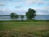 Meren van het forêt d'Orient - Lake Shore en de tempel met bomen in het water, wolken in de lucht (Regionale Natuurpark van het Forêt d'Orient)