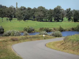 Meren van de Hoog-Charente - Weg door het meer Mas Chaban en weide met bomen