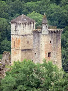 Merle towers - Tours Pesteils