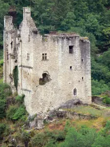 Merle towers - Castles Fulcon and Hugues Merle