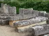 Merowingische Nekropole von Civaux - Merowingischer Friedhof: Steinsärge (merowingische Überreste) und Umfassungsmauer (Ringmauer) gemacht aus Abdeckplatten der Steinsärge