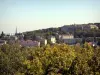 Meudon - Vue depuis la terrasse de l'observatoire