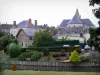 Meung-sur-Loire - Collegiata di S. Liphard case castello nella città e camminare per le viola (fiume)