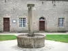 Meymac - Fountain in front of the museum Marius Vazeilles