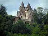 Milandes castle - Castle and trees, in the Dordogne valley, in Périgord