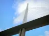 Millau viaduct - Pile, deck, pylon and shrouds of the motorway bridge