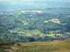 Millevaches in Limousin Regional Nature Park - Monedieres Hills: green panorama from the viewpoint of Suc in May