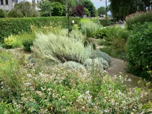 Milly-la-Forêt - Plants of the herb garden