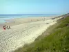 Mimizan-Plage - Silver coast: sandy beach and Atlantic Ocean; in the town of Mimizan