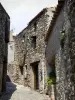 Minerve - Narrow street lined with stone houses