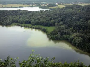 Mirador de los 4 lagos - Desde el mirador, las vistas de los lagos de abajo, el bosque y campos