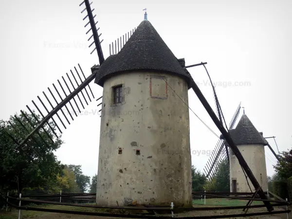 Los molinos de Vendée - Guía turismo, vacaciones y fines de semana en Vendée