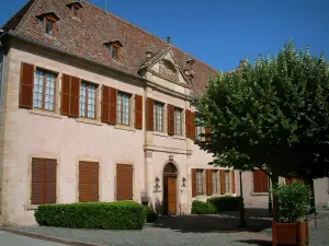 Molsheim - Ancient Carthusian monastery priory (Chartreuse museum)