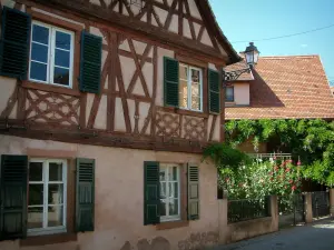 Molsheim - Houten huis en bloementuin