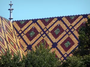 Monasterio real de Brou - Techo de la iglesia de Brou con azulejos policromados