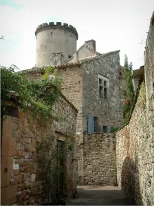 Monestiés - Torre y casas de piedra de la aldea