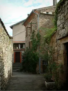 Monestiés - Maisons en pierre avec des plantes