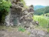Monolithische Kapelle von Fontanges - Oben auf dem Felsen mit Blick auf die umliegende grüne Landschaft