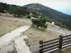 Mont Aigoual - Vue sur le mont Aigoual depuis le site de l'observatoire météorologique ; dans le massif de l'Aigoual, dans le Parc National des Cévennes (massif des Cévennes)