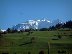 Mont-Blanc - Alpages, arbres aux couleurs de l'automne et massif du ...