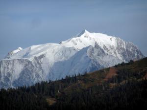 Mont-Blanc - ForÃªt de sapins et massif du Mont-Blanc